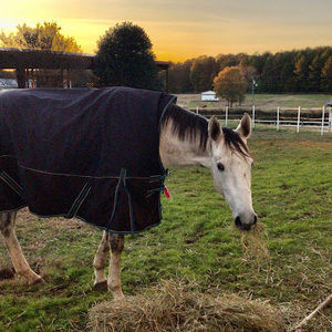 Meet your Posher, Kaitlin